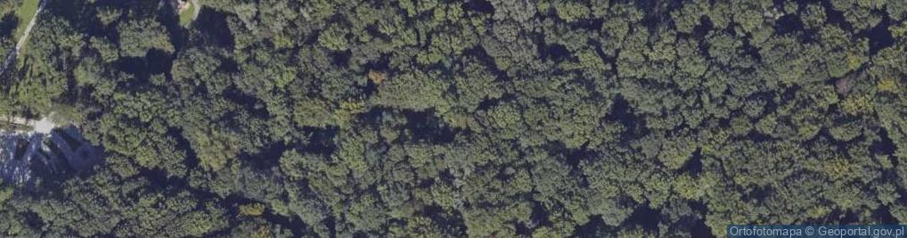 Zdjęcie satelitarne Pomnik zamordowanych młodych Polaków