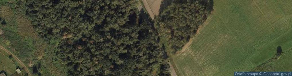 Zdjęcie satelitarne Pomnik Zołnierzy AK