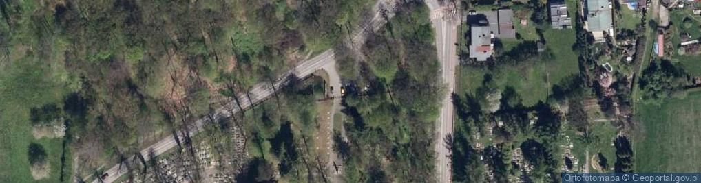Zdjęcie satelitarne Pomnik żołnierzy radzieckich