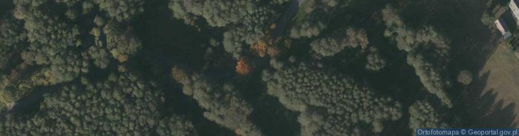 Zdjęcie satelitarne Pomniki Św. Jana Nepomucena