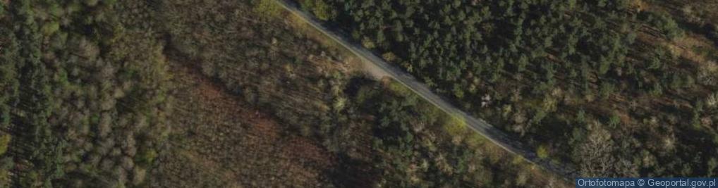 Zdjęcie satelitarne Pomordowanym mieszkańcom powiatu grudziądzkiego w czasie II woj
