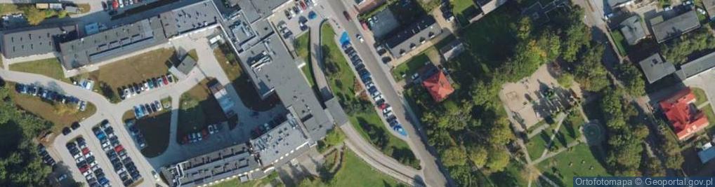 Zdjęcie satelitarne Popiersie Aleksandra Majkowskiego 1876-1938