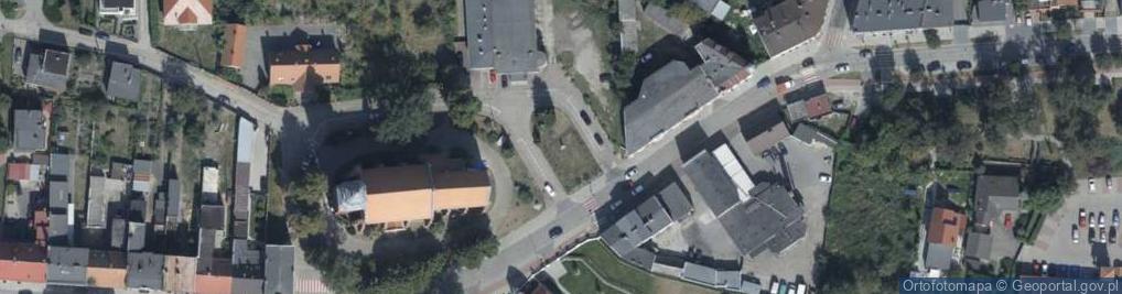 Zdjęcie satelitarne Popiersie Jana Śniadeckiego