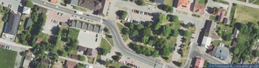 Zdjęcie satelitarne Powstanie styczniowe