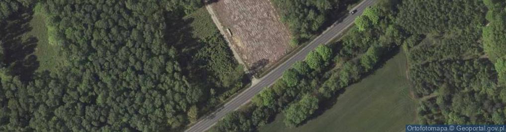 Zdjęcie satelitarne W tym lesie w dniu 24 maja 1944 r. oddział AK rozbił kolumnę 16