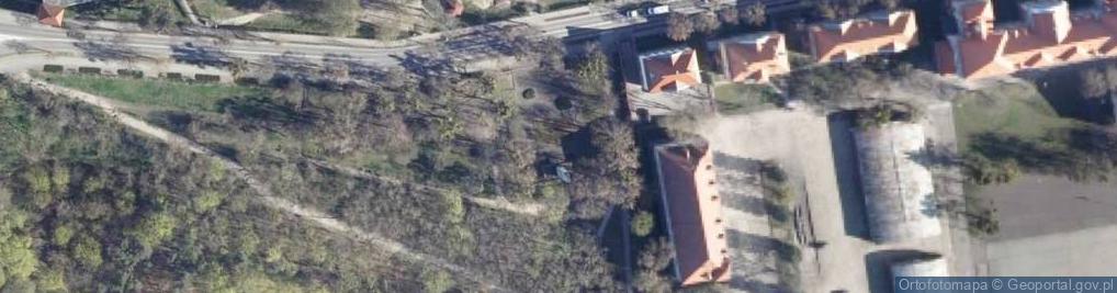 Zdjęcie satelitarne Żołnierzom Armii Radzieckiej