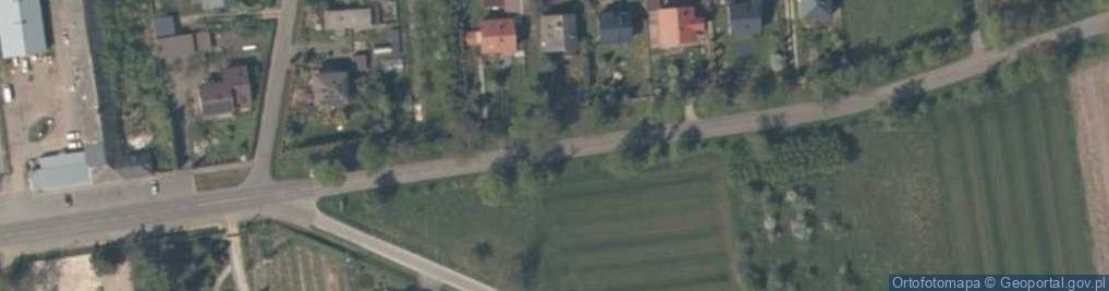 Zdjęcie satelitarne Aleja drzew