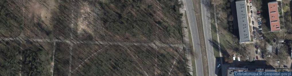 Zdjęcie satelitarne Bluszcz Pospolity