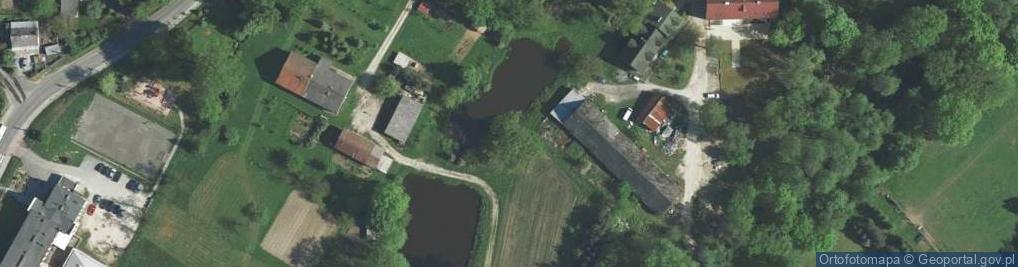 Zdjęcie satelitarne Dąb Wyspiańskiego