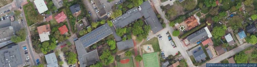 Zdjęcie satelitarne Wiąz szypułkowy