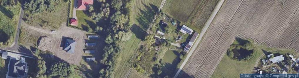 Zdjęcie satelitarne Władek Drzewo