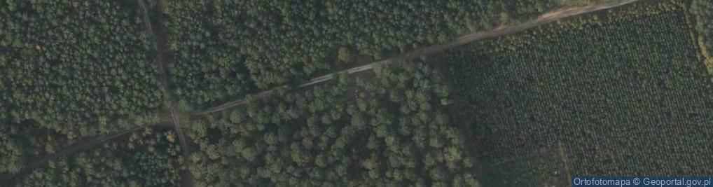Zdjęcie satelitarne Przecięcie południka i równoleżnika