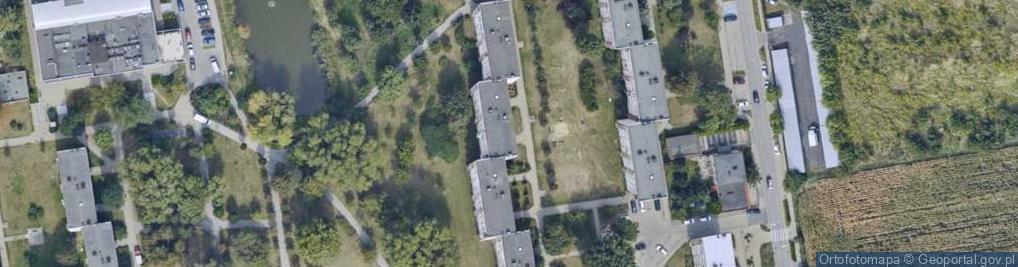 Zdjęcie satelitarne Adam Głowicki - Działalność Gospodarcza