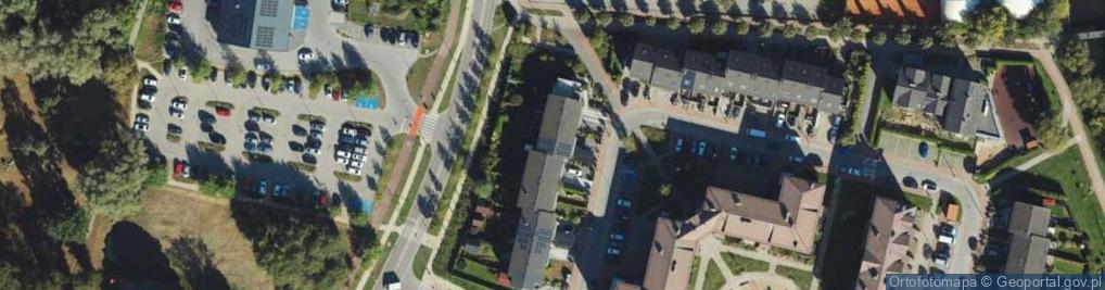 Zdjęcie satelitarne Adam Nazaruk Symbiotyk