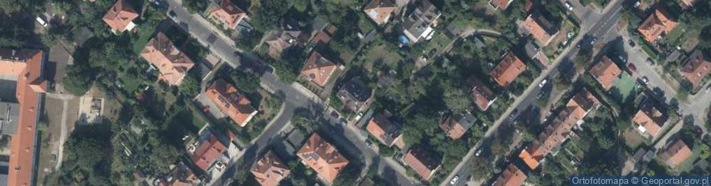 Zdjęcie satelitarne Adam Nowikiewicz - Działalność Gospodarcza