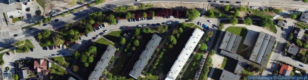Zdjęcie satelitarne Adam Weber