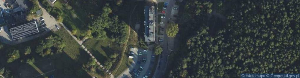 Zdjęcie satelitarne Adler Cook