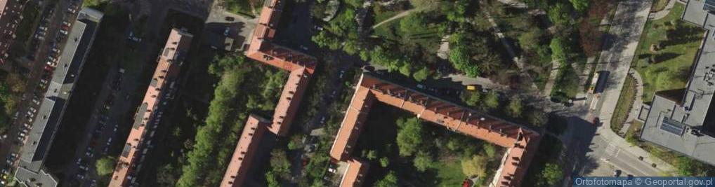 Zdjęcie satelitarne Agencja Interaktywna Digital Shadows