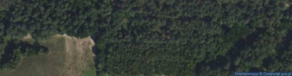 Zdjęcie satelitarne Agent Ubezpieczeniowy Stankowska Joanna