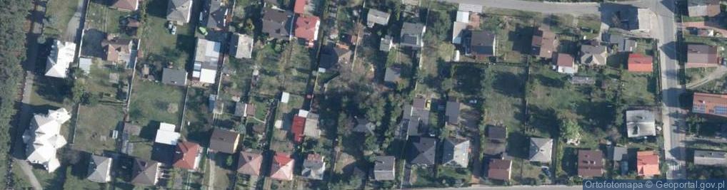 Zdjęcie satelitarne Agnieszka Koncewicz-Sambor Hot Strawberry