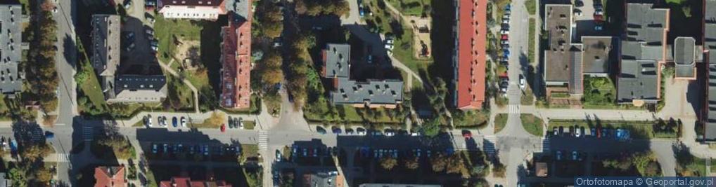 Zdjęcie satelitarne Ajgur Michał Ignaczewski