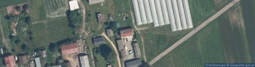 Zdjęcie satelitarne Ajk Produkcja Owoców Jarosław Kirylczuk