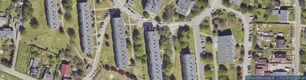 Zdjęcie satelitarne Ajuda Ewa Grelewicz