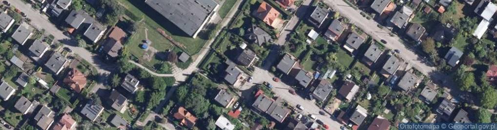 Zdjęcie satelitarne Alaska A Momot A A Dobrowolscy
