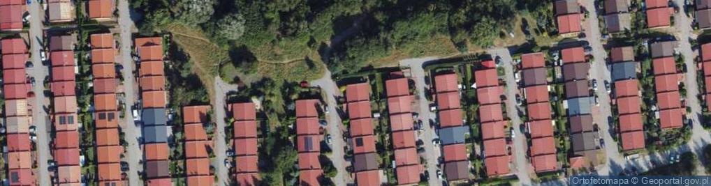 Zdjęcie satelitarne Aleksandra Kłos