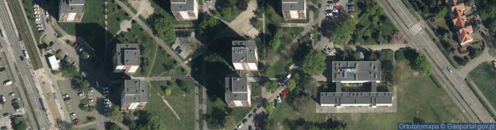 Zdjęcie satelitarne Aleksandra Kulik