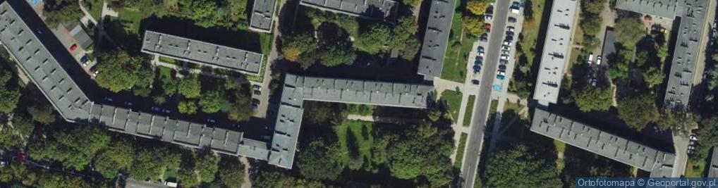 Zdjęcie satelitarne Aleksandra Wójtowicz Olmed
