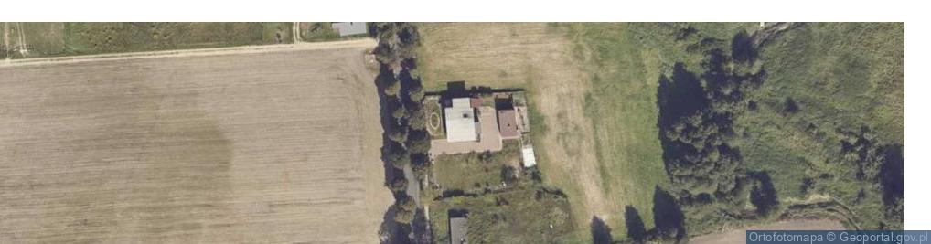 Zdjęcie satelitarne Alian