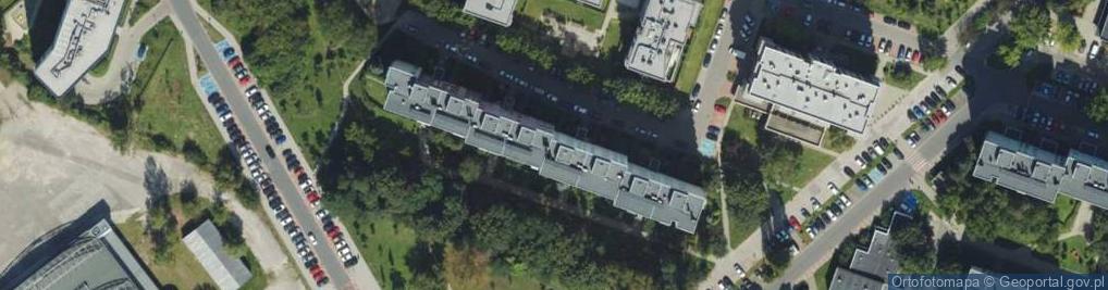 Zdjęcie satelitarne Alicja Czerwiec Mistic Art Jewellery