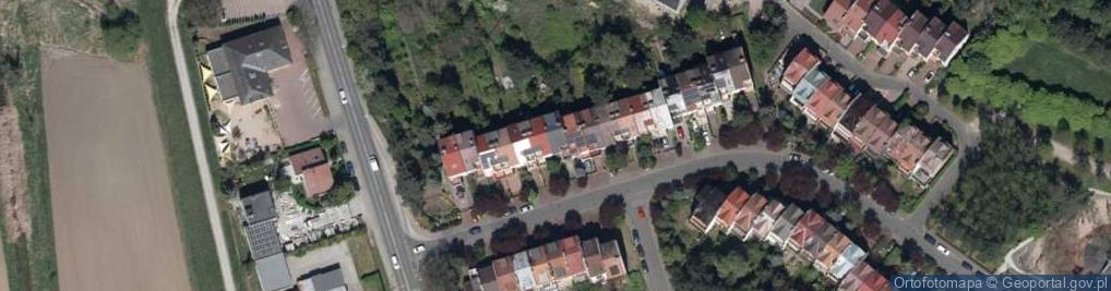 Zdjęcie satelitarne Alicja Dreger Kwiaty Handel i Usługi