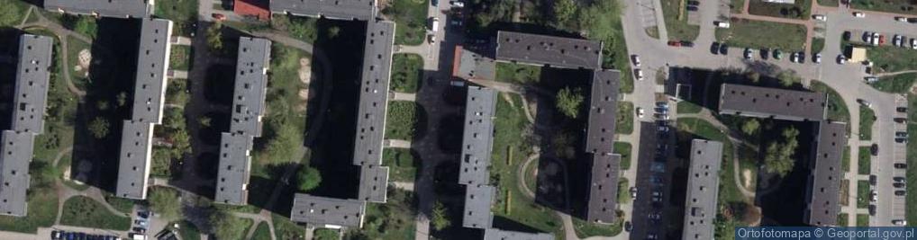 Zdjęcie satelitarne Alicja Sarnecka