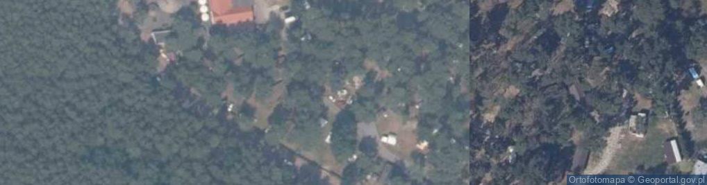 Zdjęcie satelitarne Alicja Siergiej - Działalność Gospodarcza