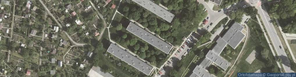 Zdjęcie satelitarne Alicja Soch Neko