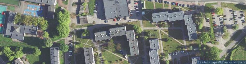 Zdjęcie satelitarne Alina Nowak - Działalność Gospodarcza