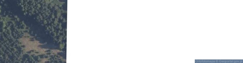 Zdjęcie satelitarne Alipna Bus