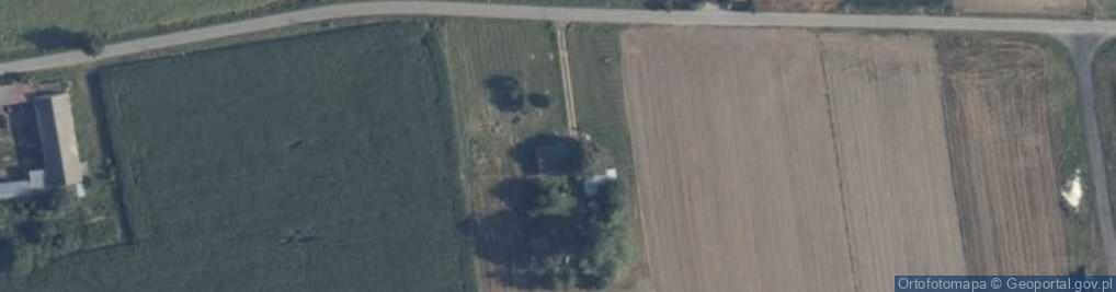 Zdjęcie satelitarne Allton Zbigniew Przewrocki