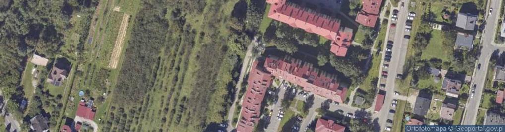 Zdjęcie satelitarne ALMI