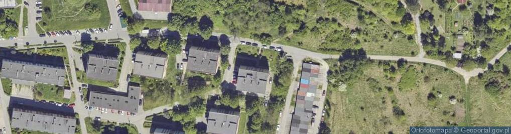 Zdjęcie satelitarne Alona Aleksyeyenko Olena