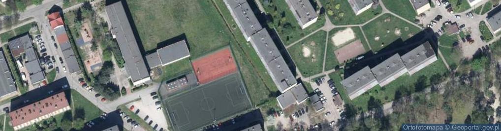 Zdjęcie satelitarne Alpinsoft Marcin Ogoń