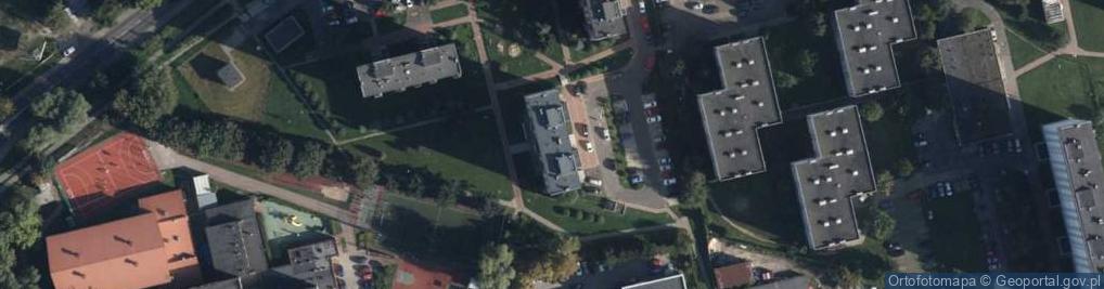 Zdjęcie satelitarne ALR