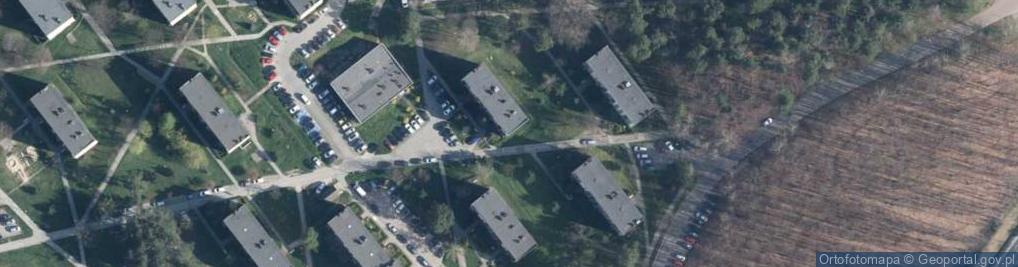 Zdjęcie satelitarne ALWI