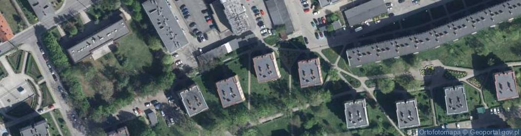 Zdjęcie satelitarne amag.net