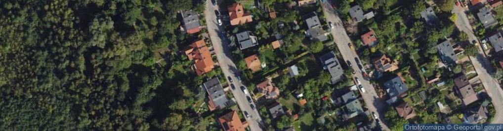 Zdjęcie satelitarne Analog