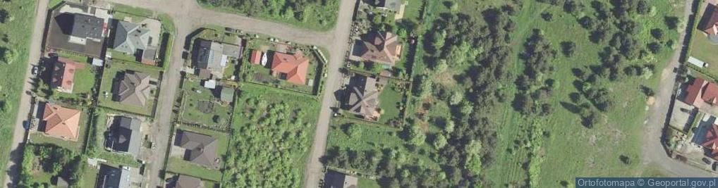 Zdjęcie satelitarne Andrii Shevchuk