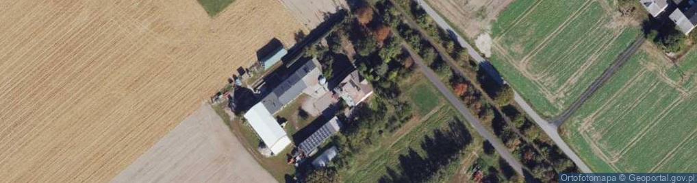 Zdjęcie satelitarne Andrzej Prowadzisz