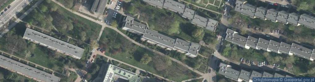 Zdjęcie satelitarne Aneta Dębowska